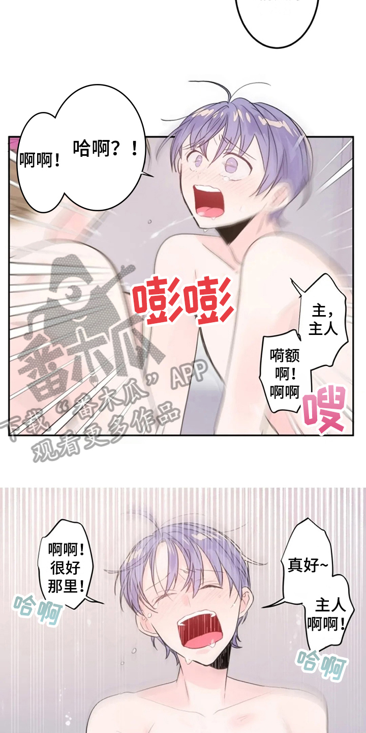 第28章：还不够8