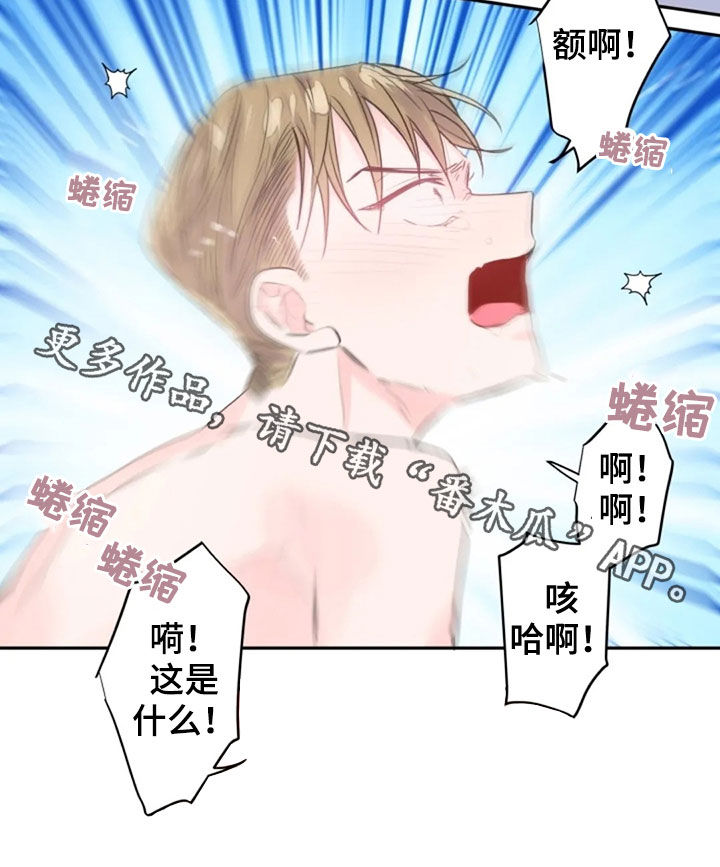 第30章：履行协约19