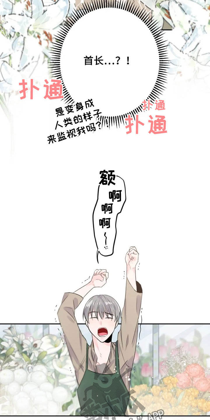 第36章：长得像的人2