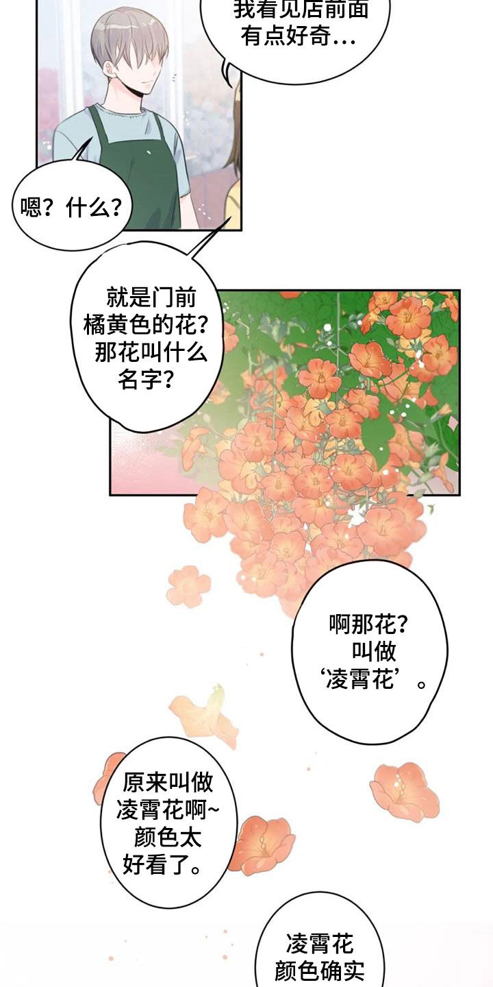 第45章：花语5