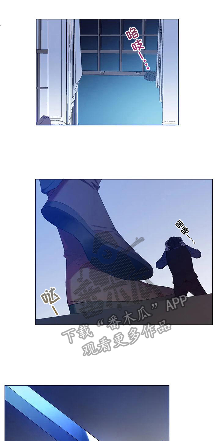 第9章：袭击17