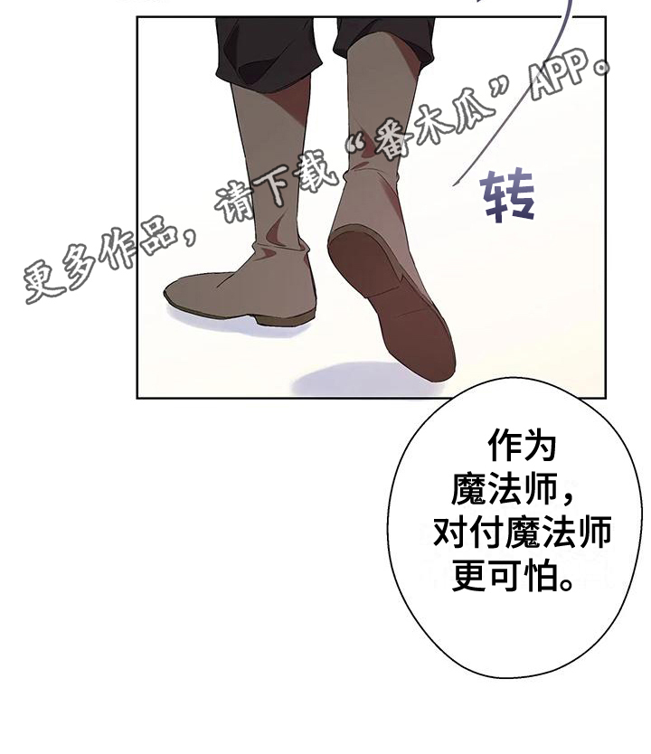 第12章：调查20