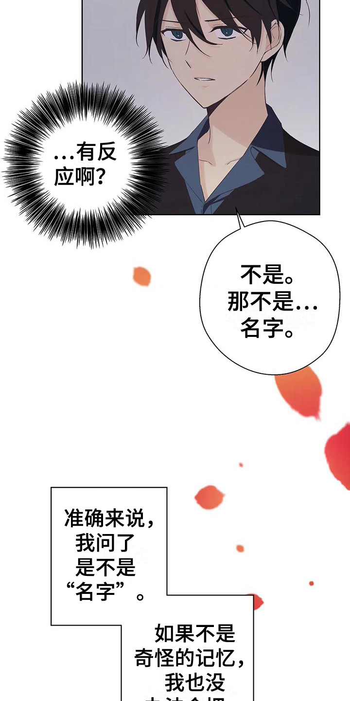 第11章：名字17