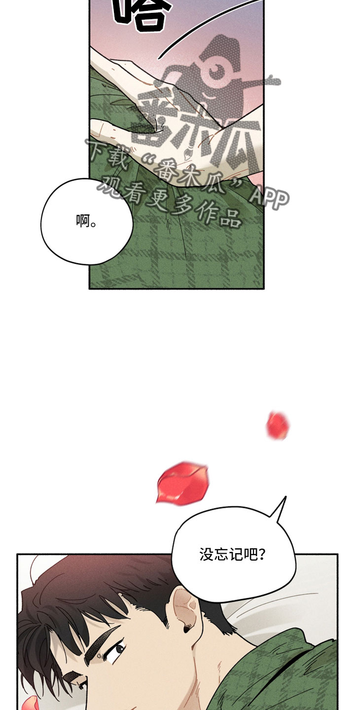 第20章：没忘记吧22