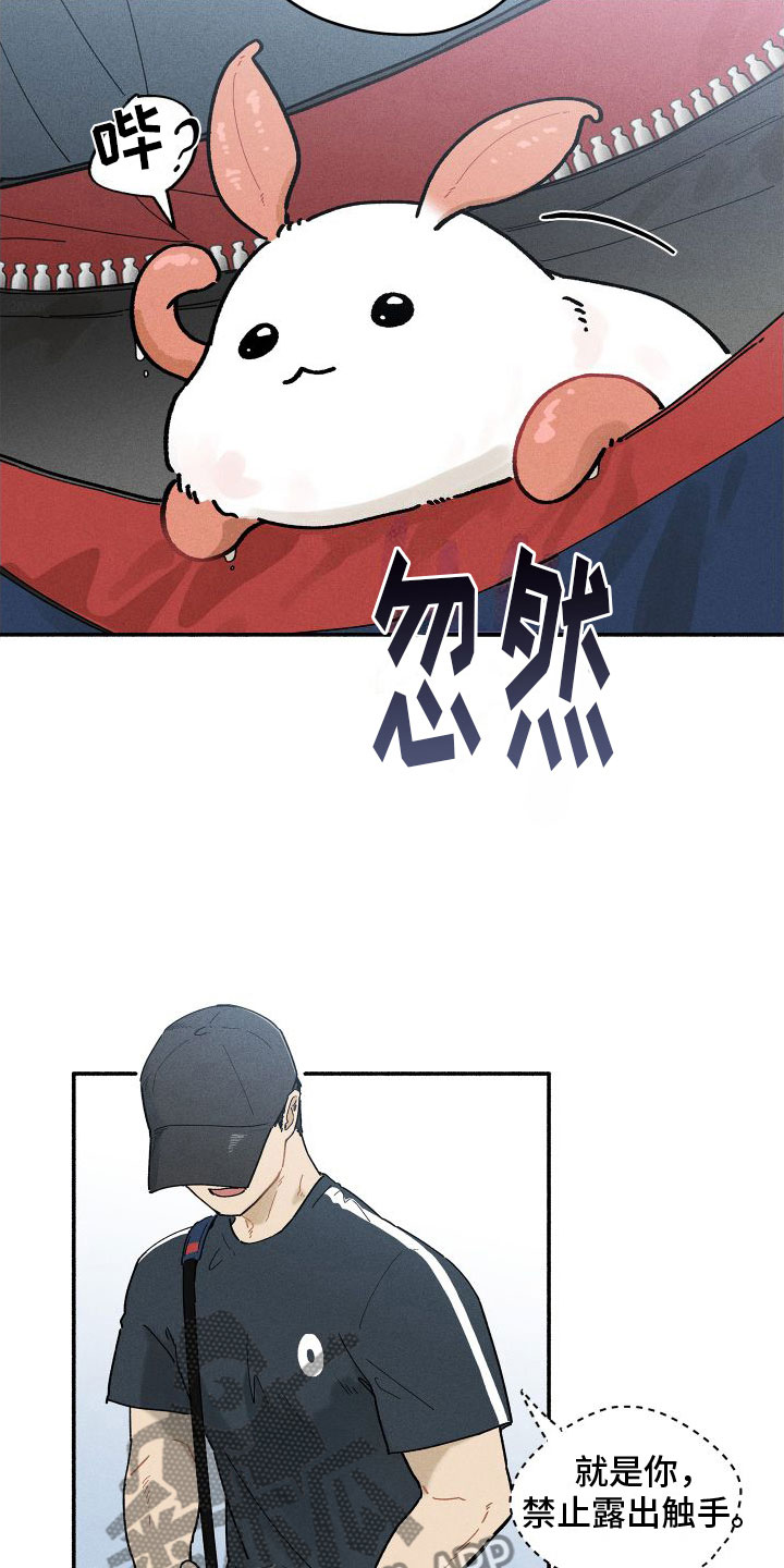 第9章：感觉不一样6