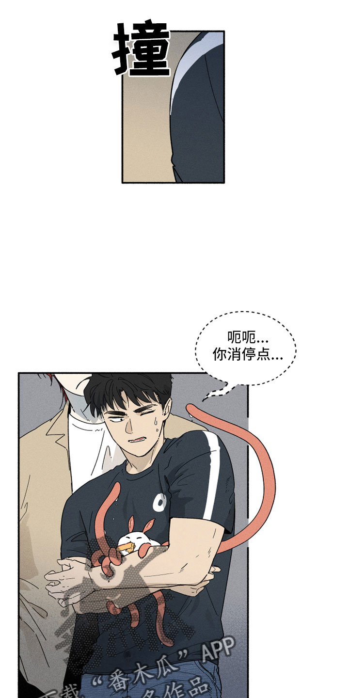 第11章：看着很温暖13