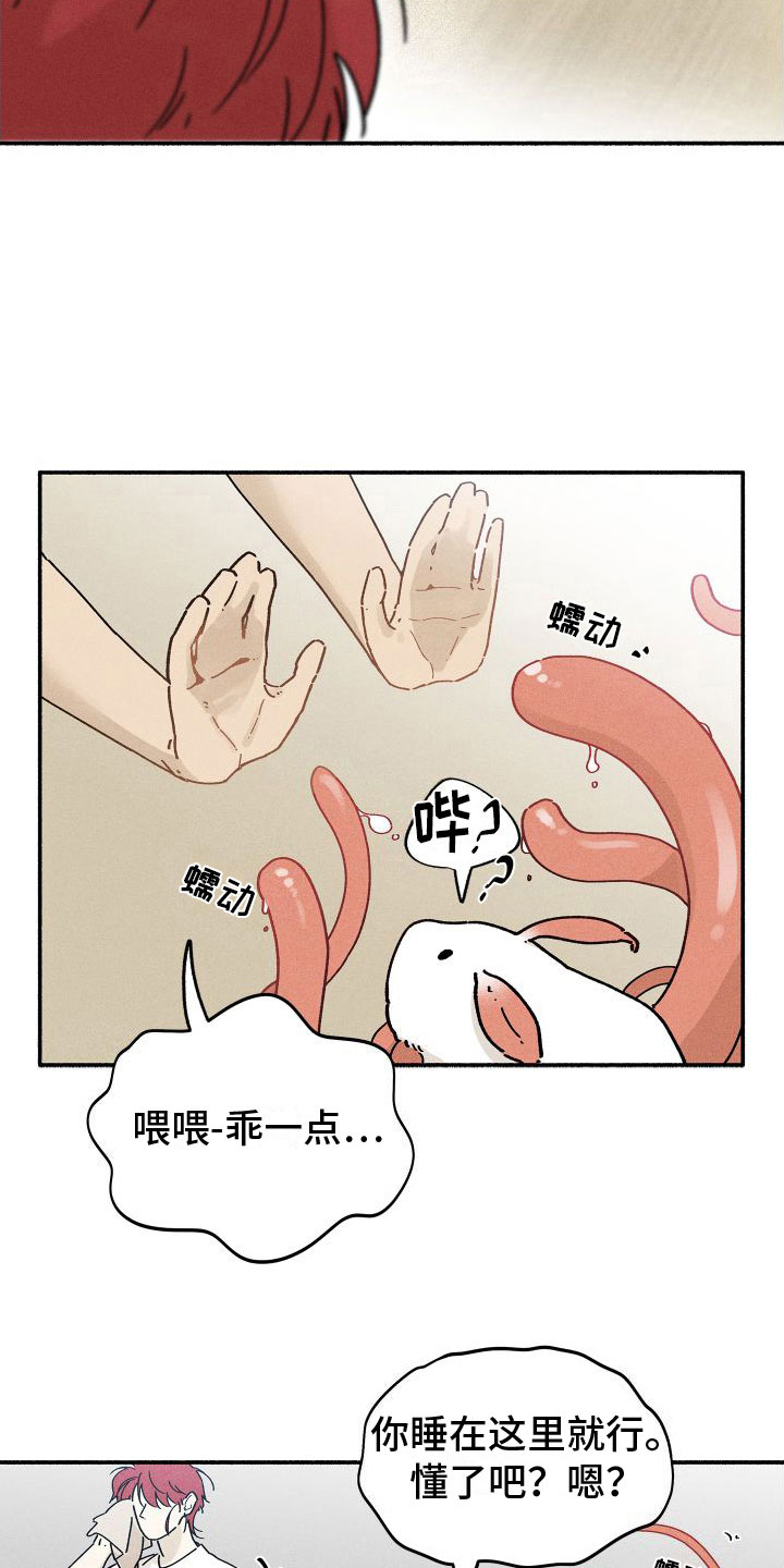 第7章：失眠19