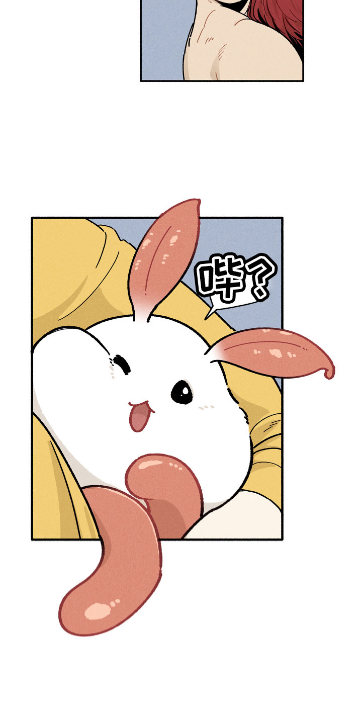 第15章：房东9