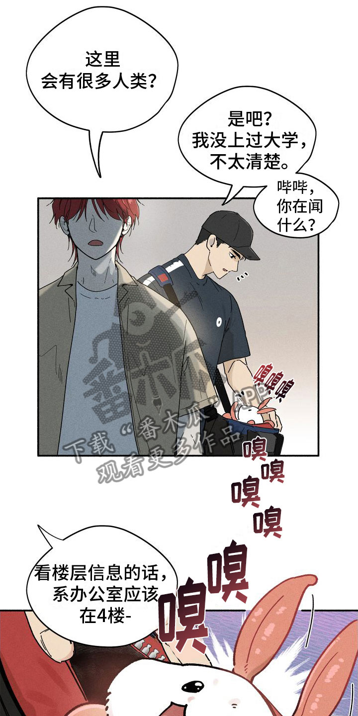 第10章：入柜21
