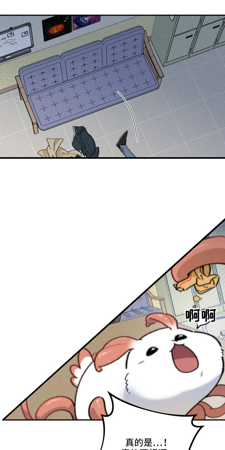 第14章：有人15