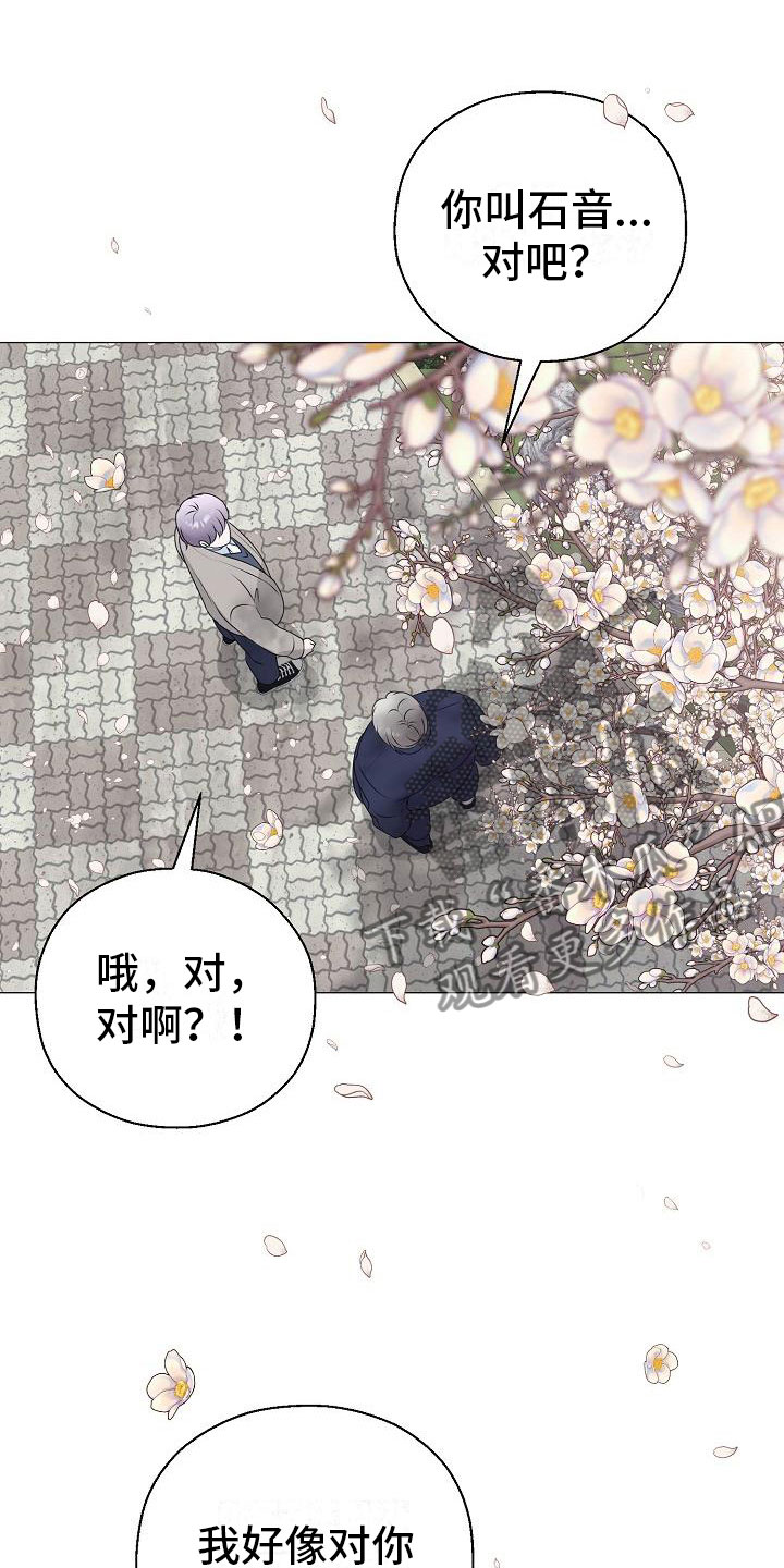 第19章：一见钟情16