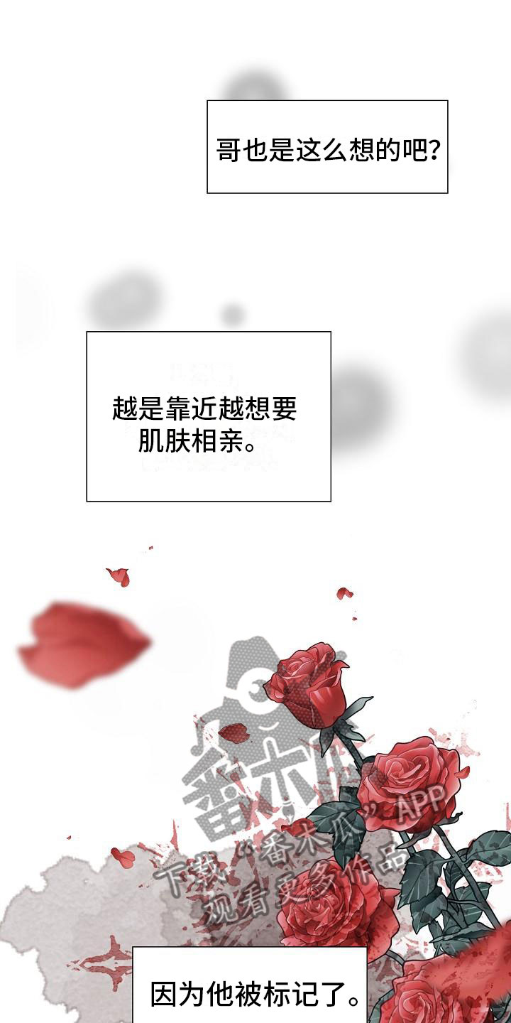 第5章：纳为己有19