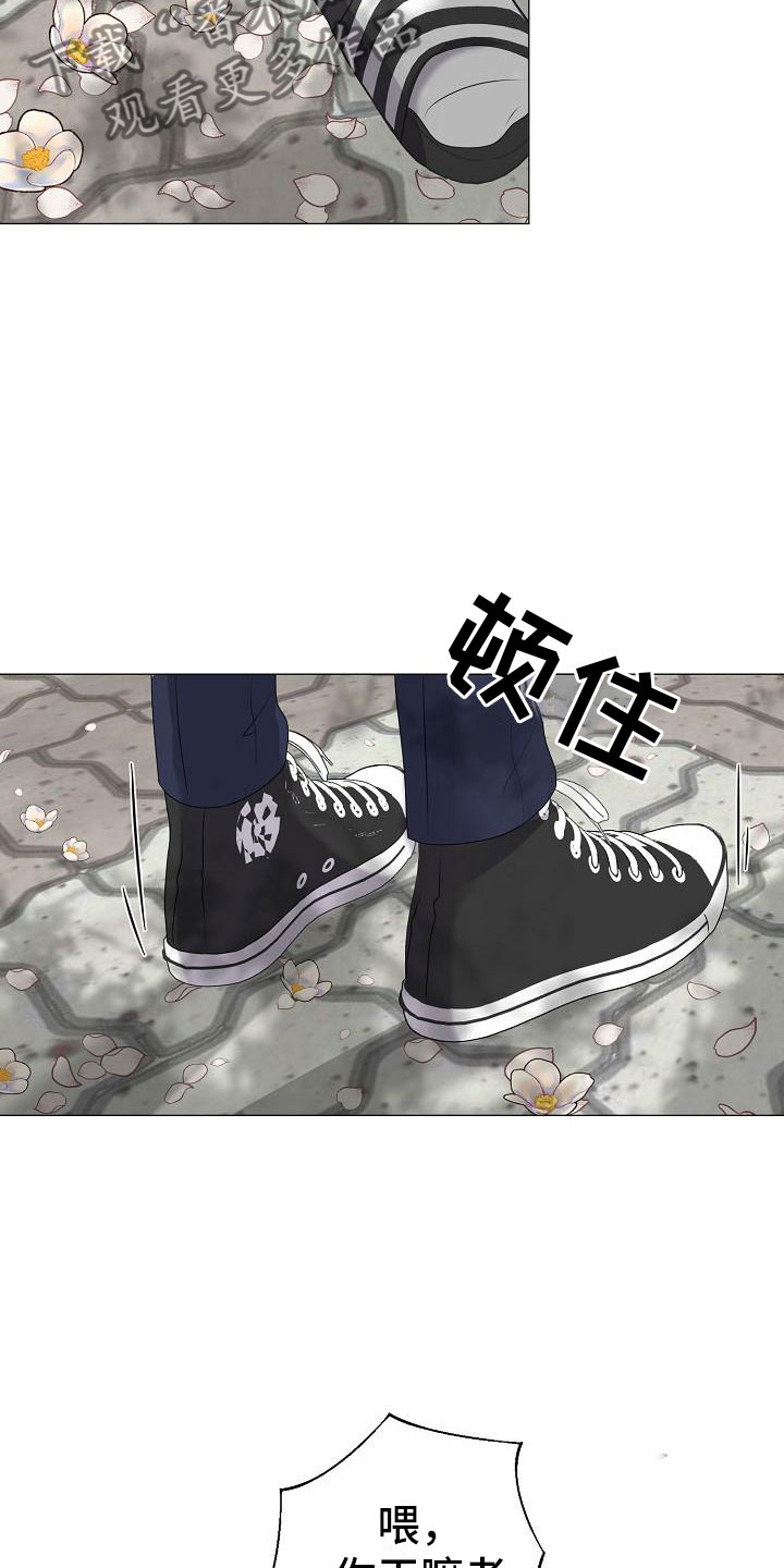第19章：一见钟情14
