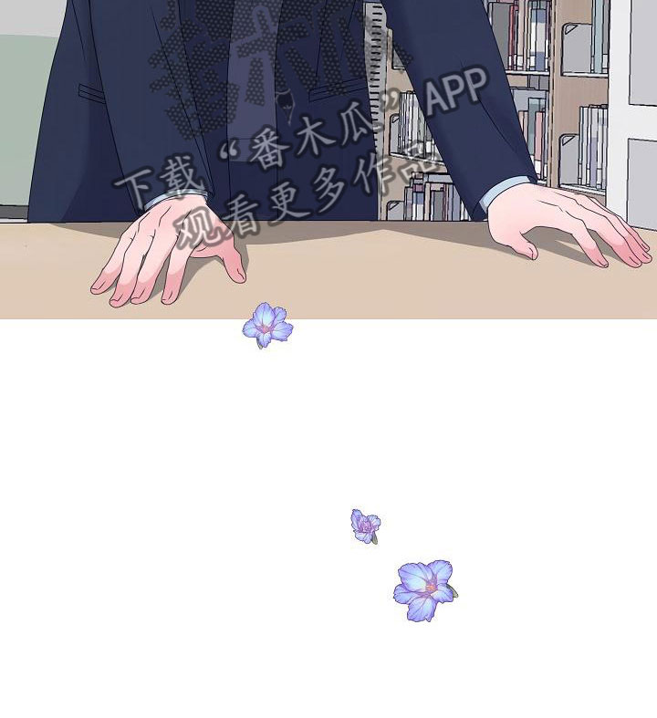 第19章：一见钟情8