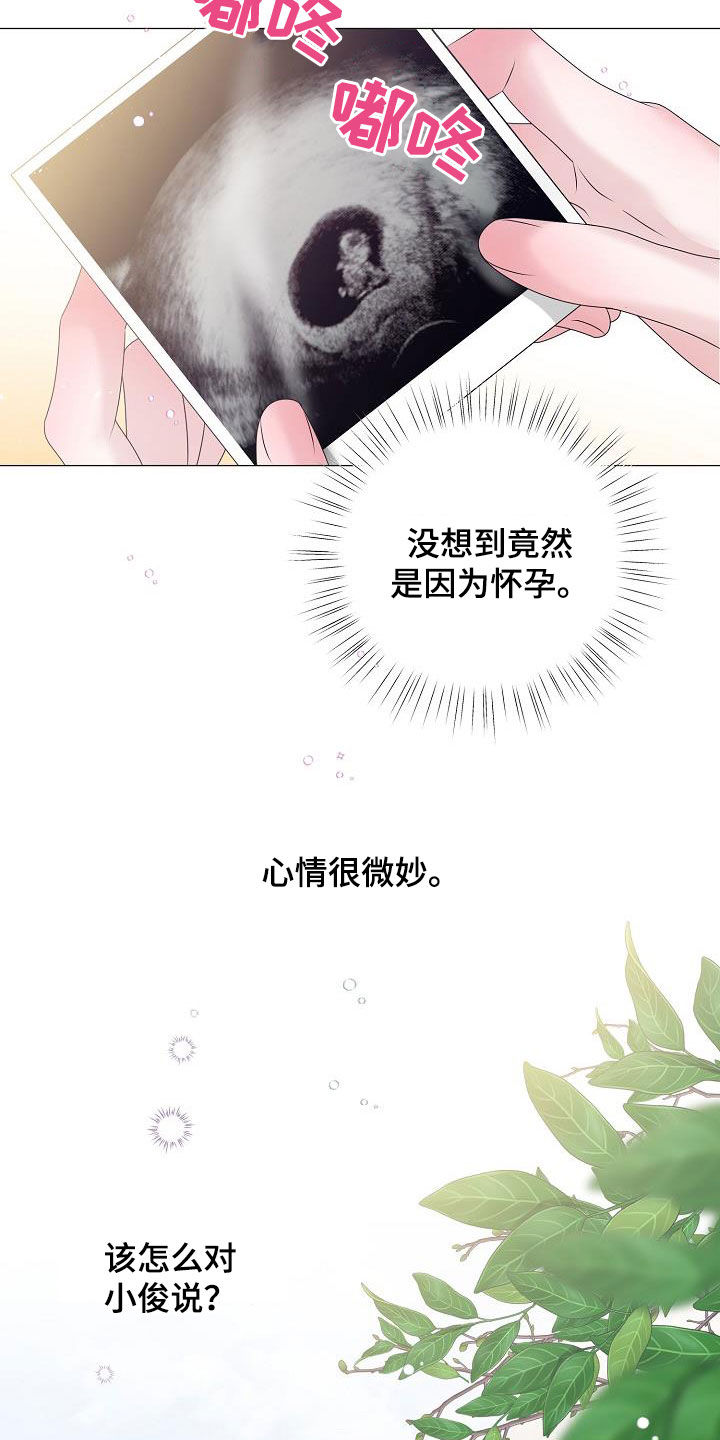 第58章：怀孕20