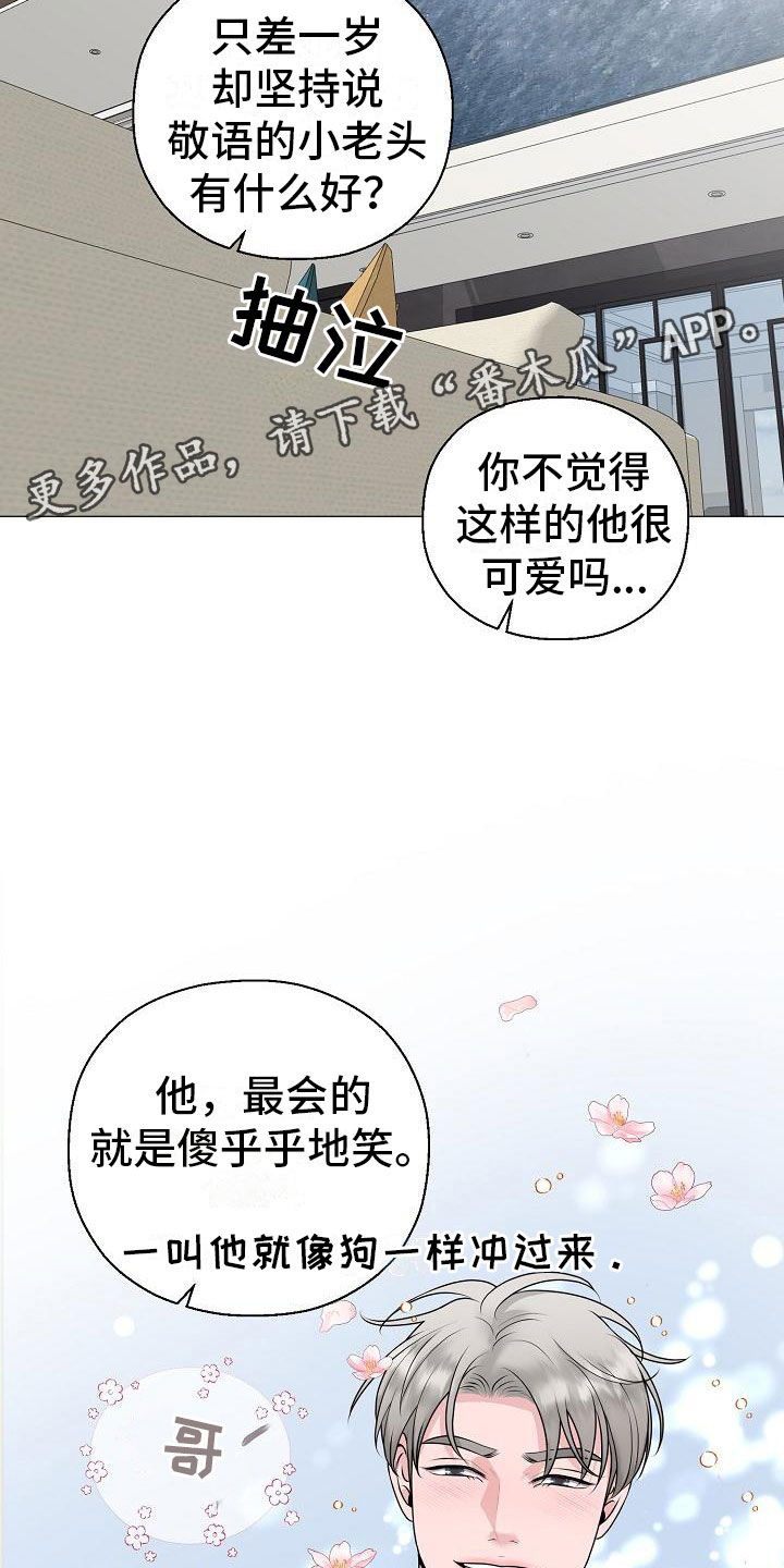 第13章：雷区19