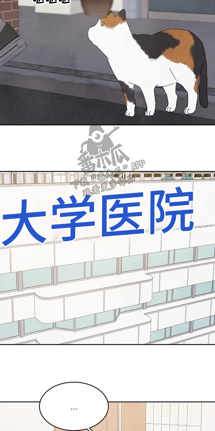 第178章：【第二季】爷爷4