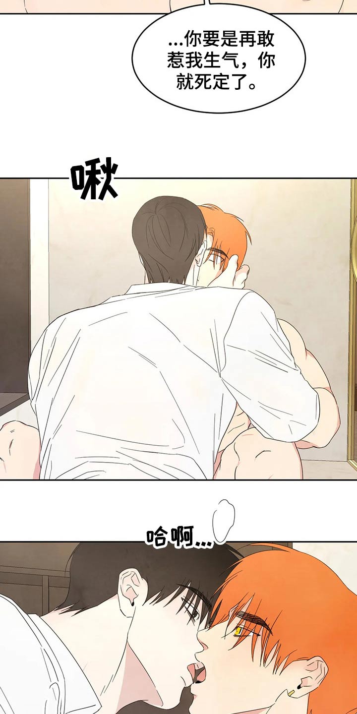 第47章：依据19