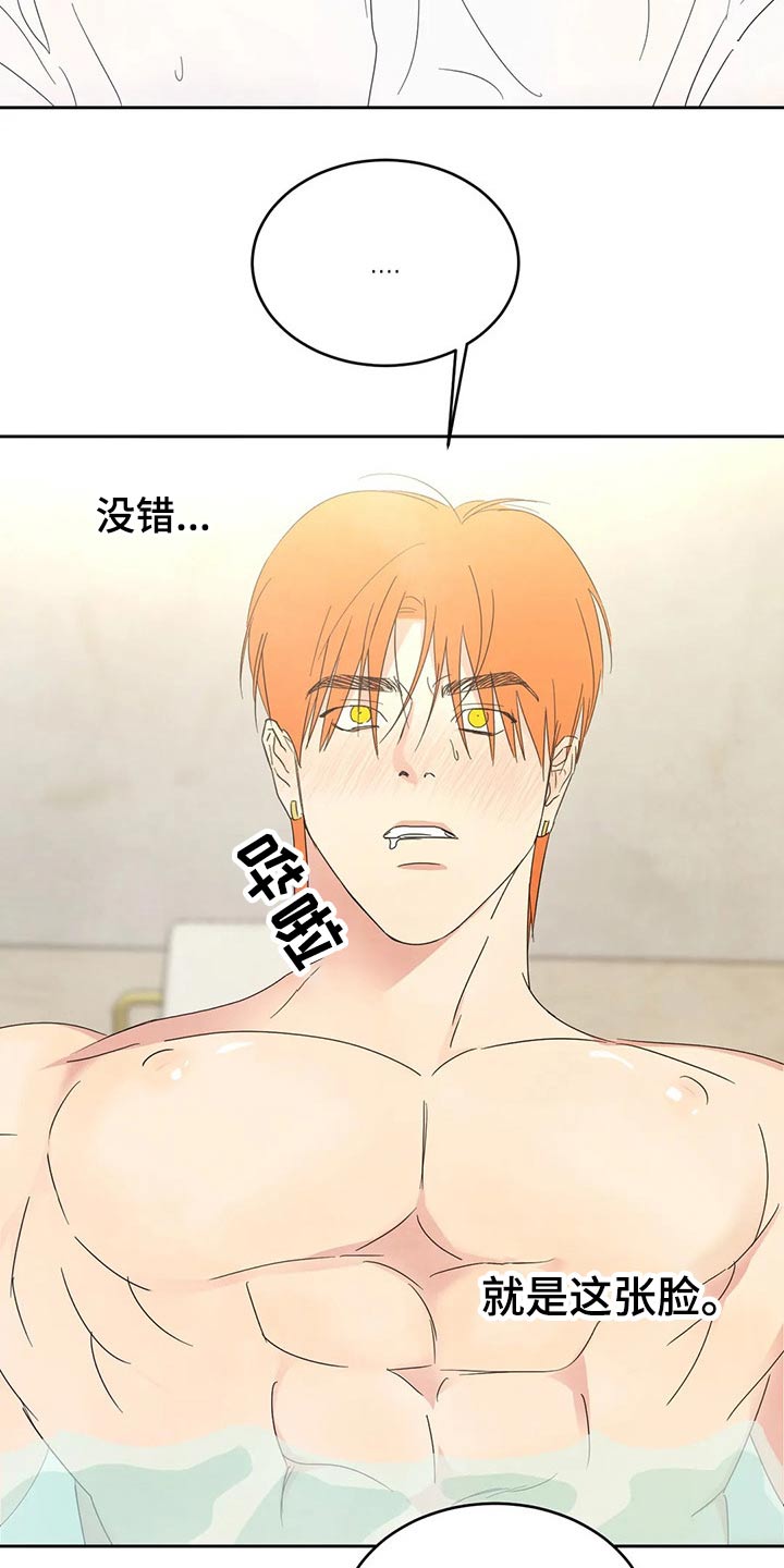 第47章：依据15
