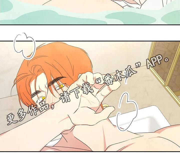 第47章：依据21