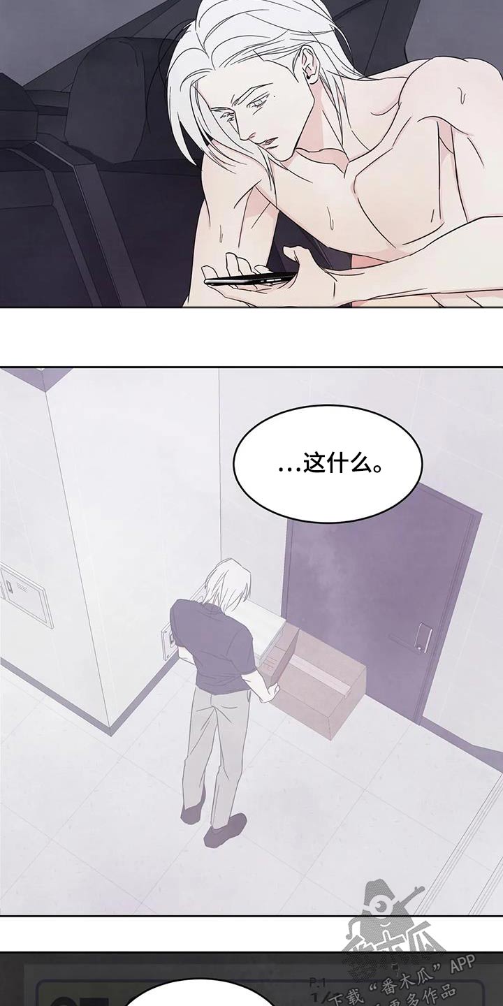 第142章：【第二季】电话9
