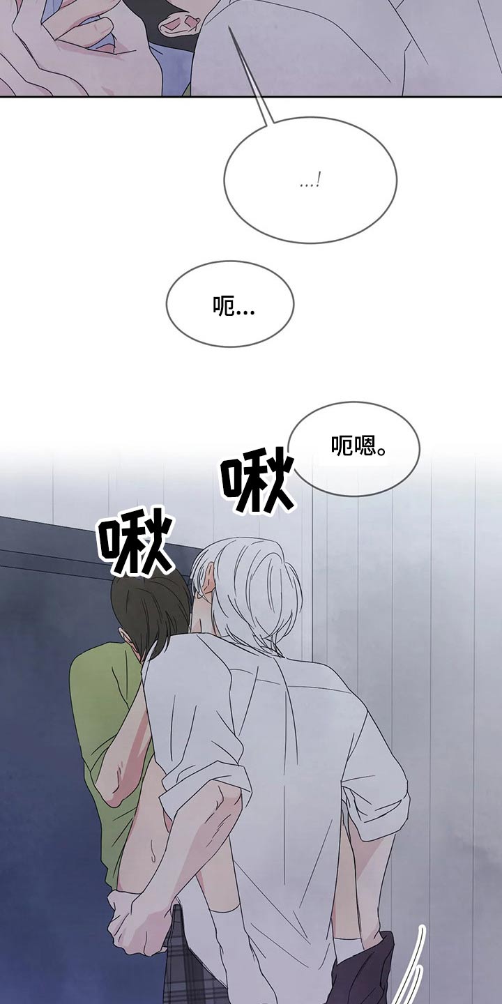 第63章：软件17