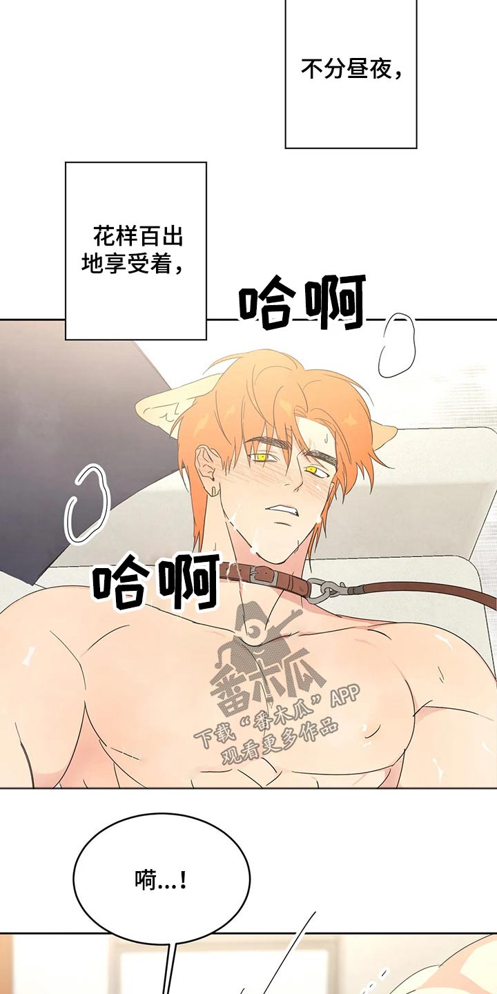 第51章：出发7