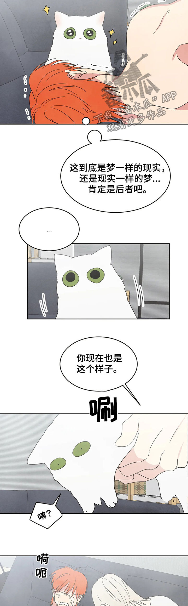 第25章：坦诚一点6