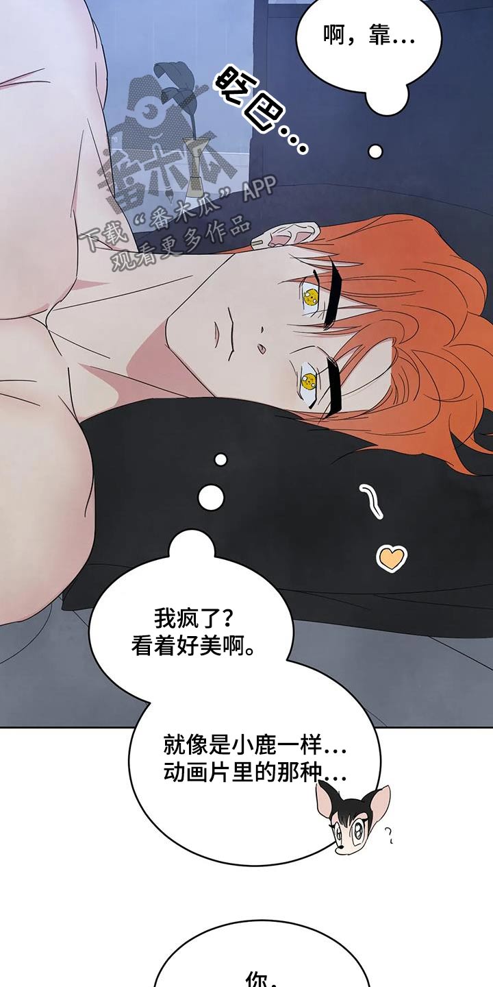第191章：【第二季】睡不着18