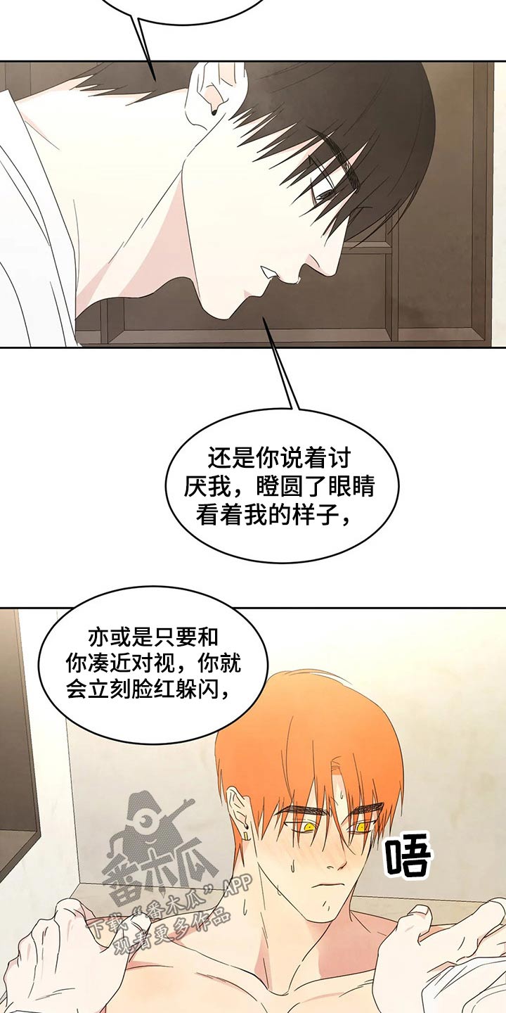 第47章：依据9