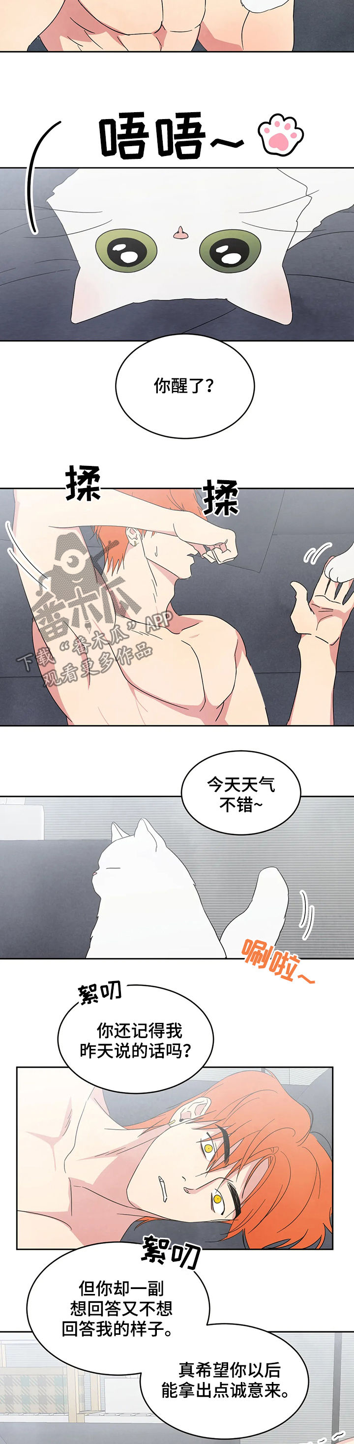 第25章：坦诚一点5