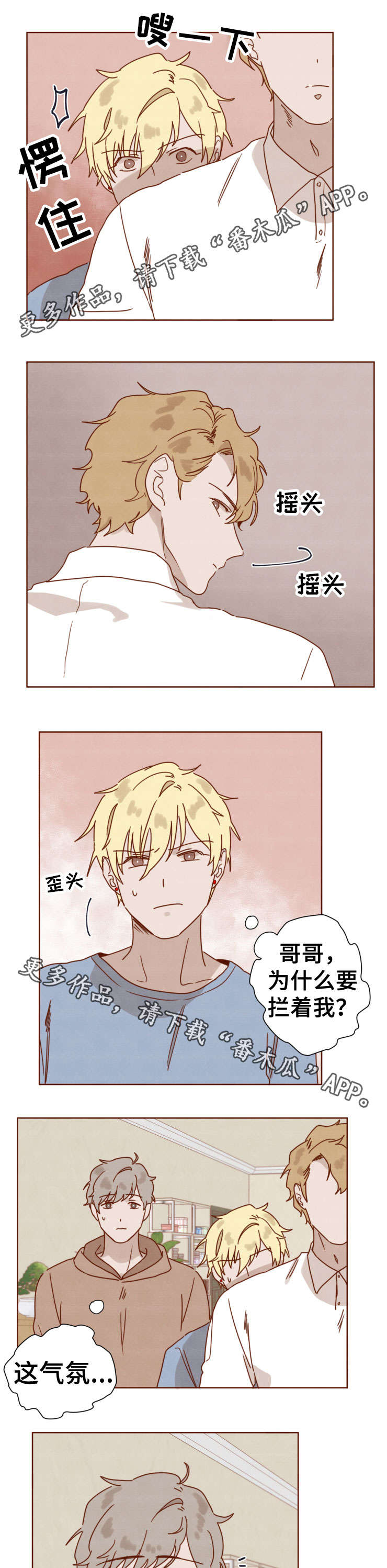 第31章：哥哥2