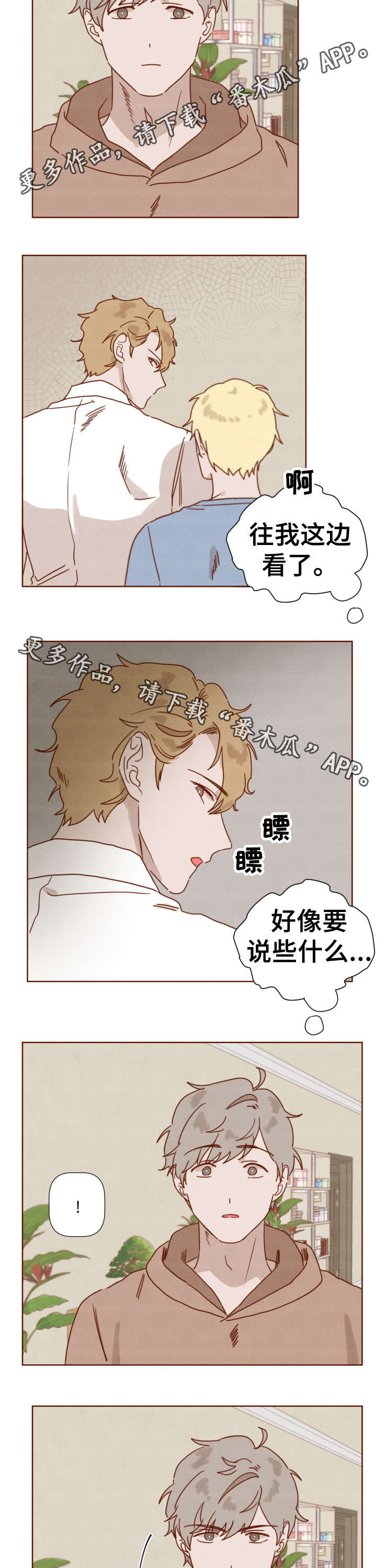 第31章：哥哥3