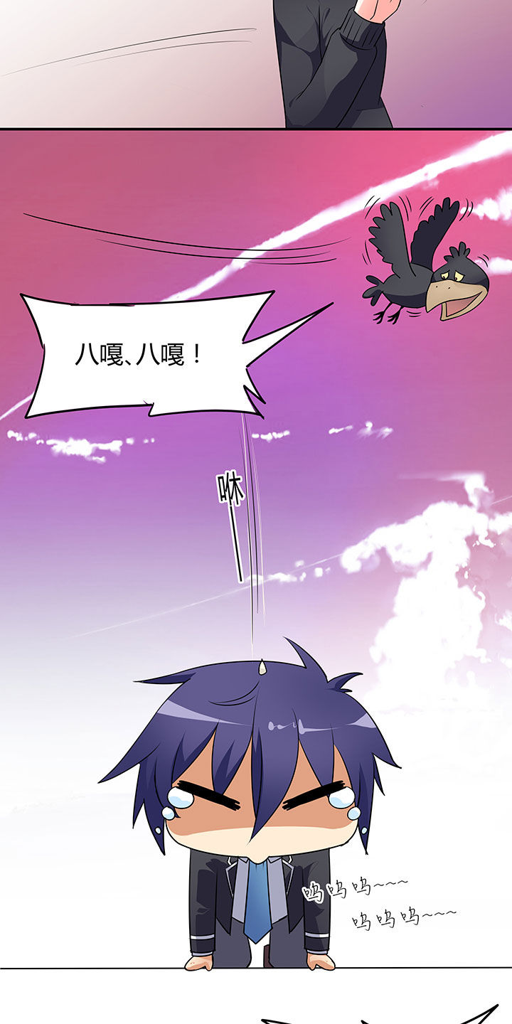 第55章：10
