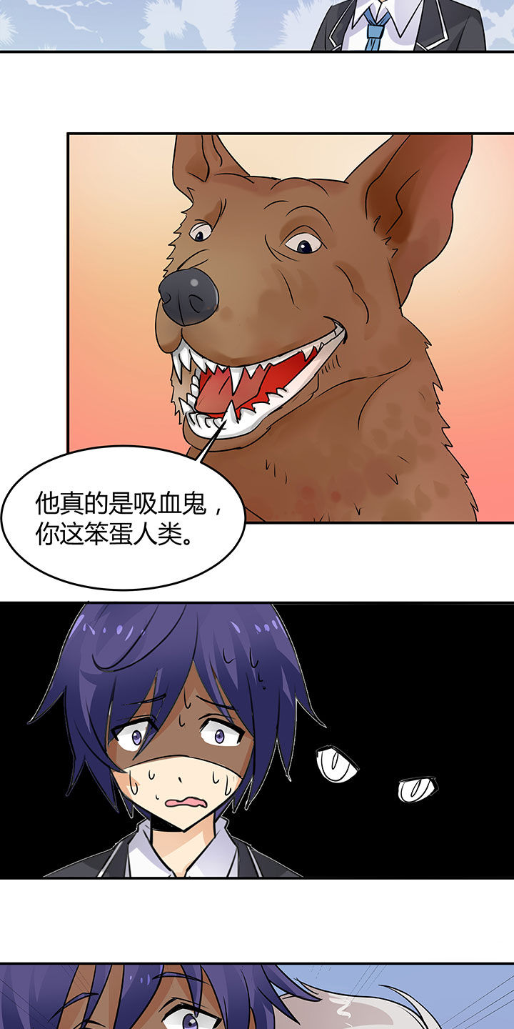 第66章：16