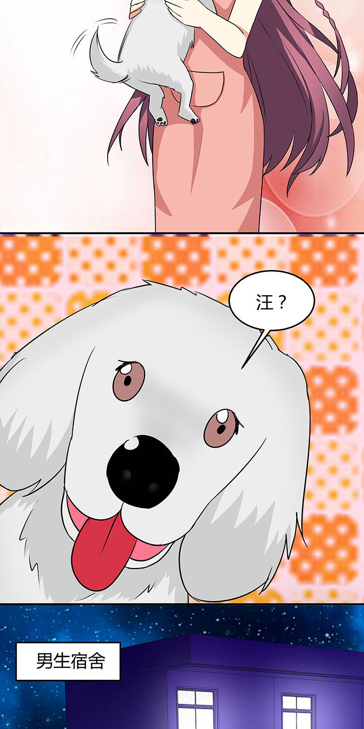 第85章：16