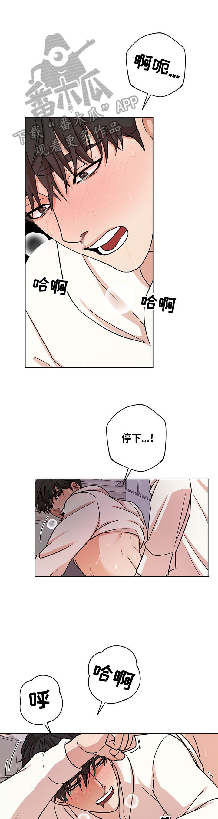 第11章：表现4