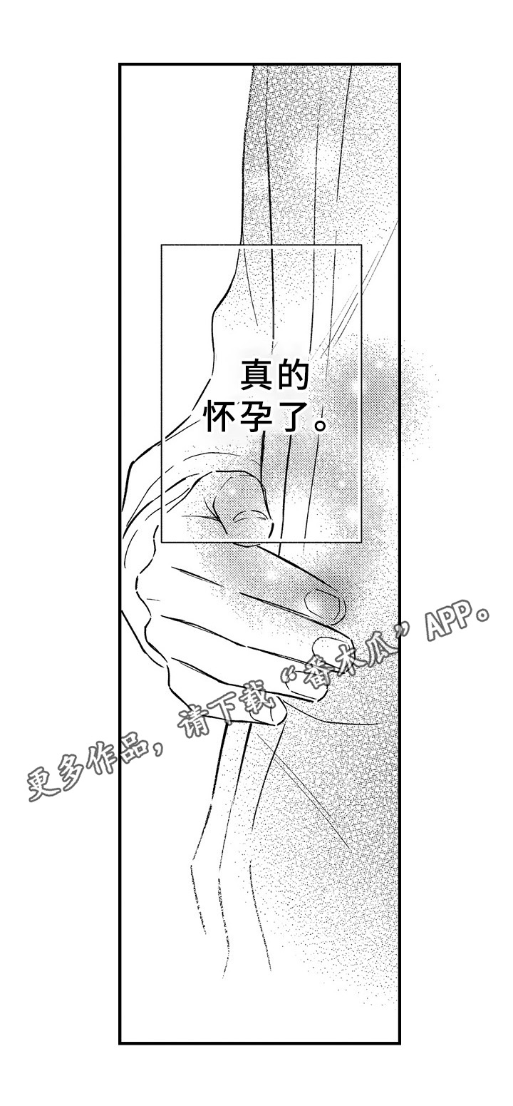 第29章：怀孕12