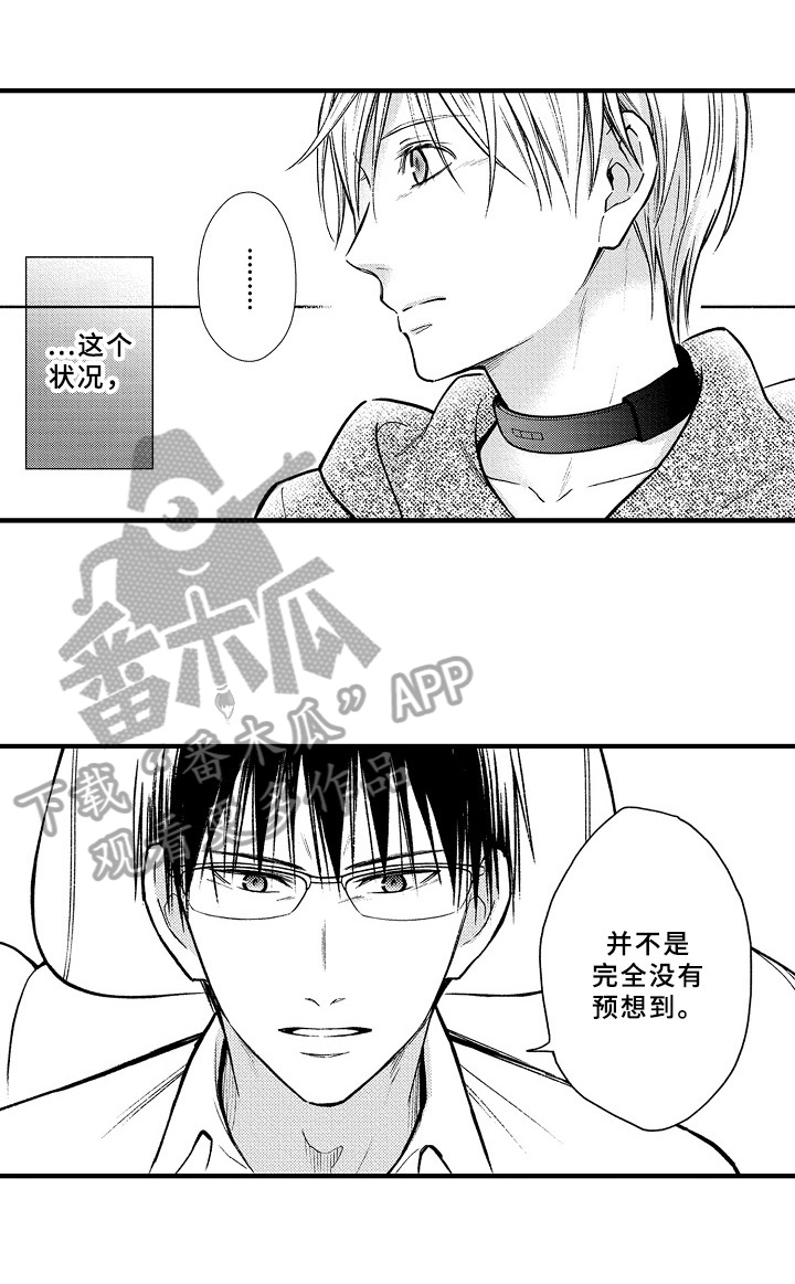 第41章：预案1