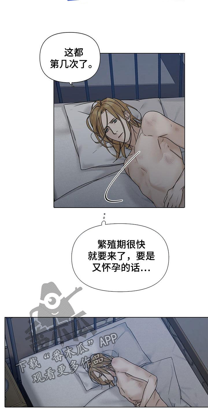 第21章：怀孕16