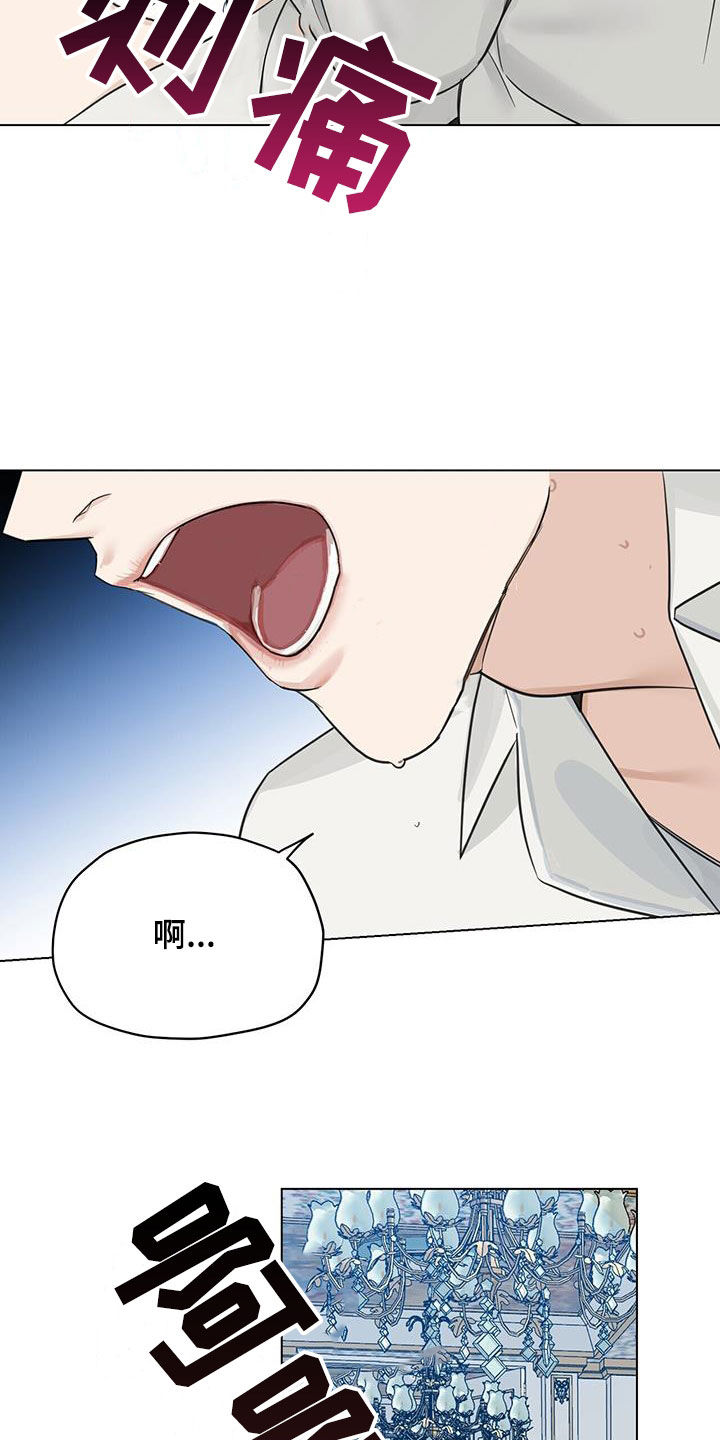 第30章：分娩15
