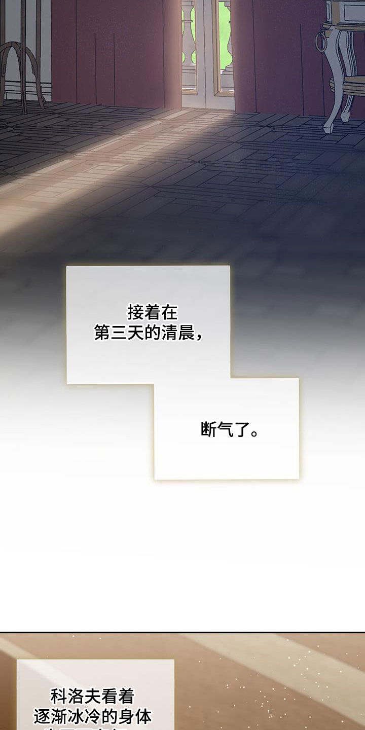 第52章：离世（第一季完结）22