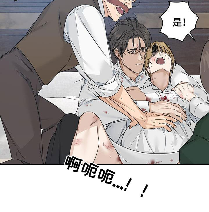 第48章：双胞胎17