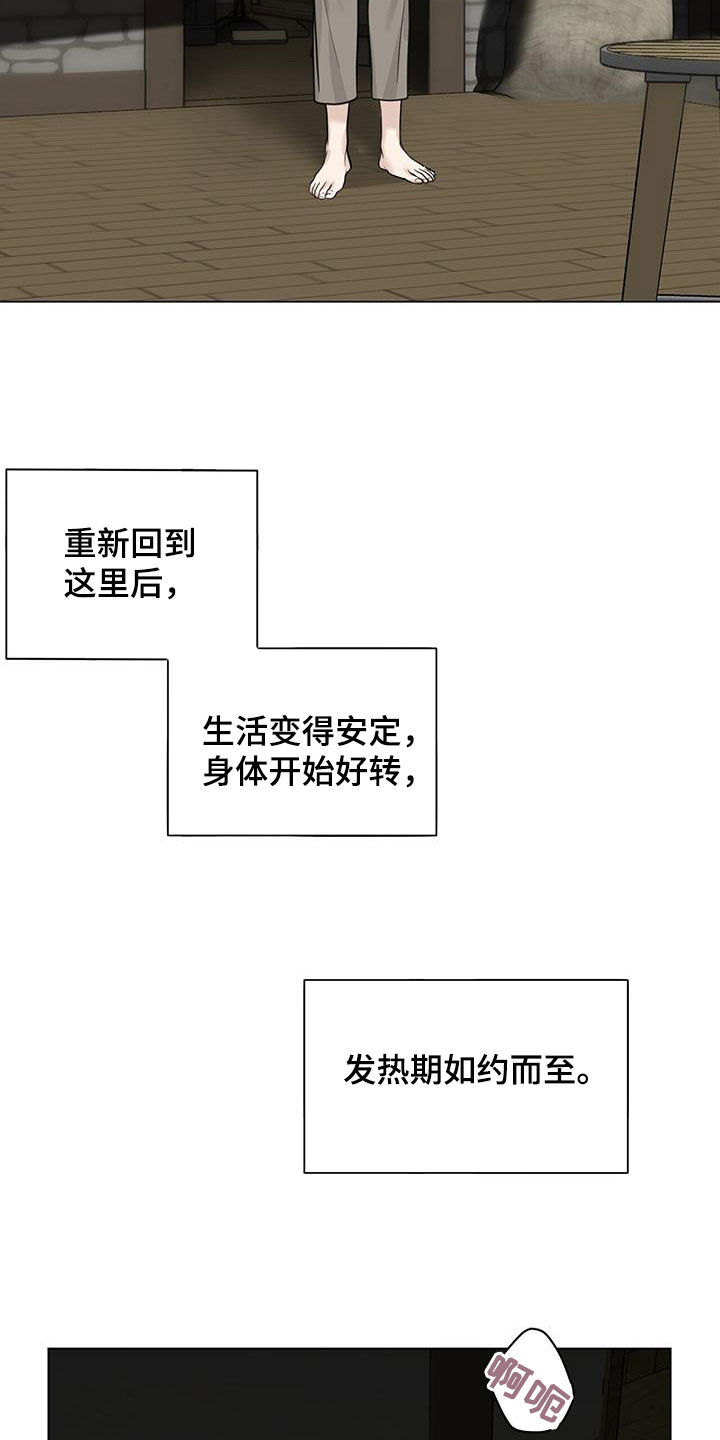 第33章：安定21