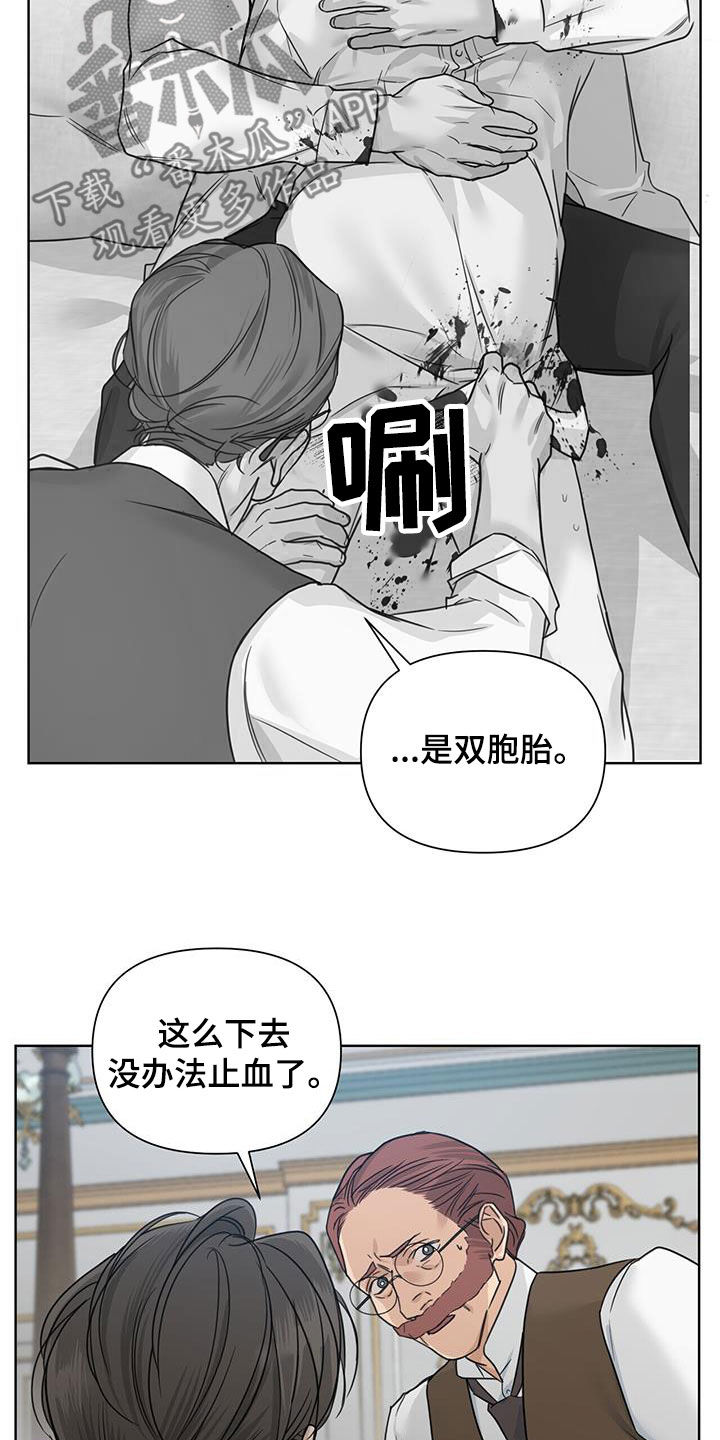第48章：双胞胎22