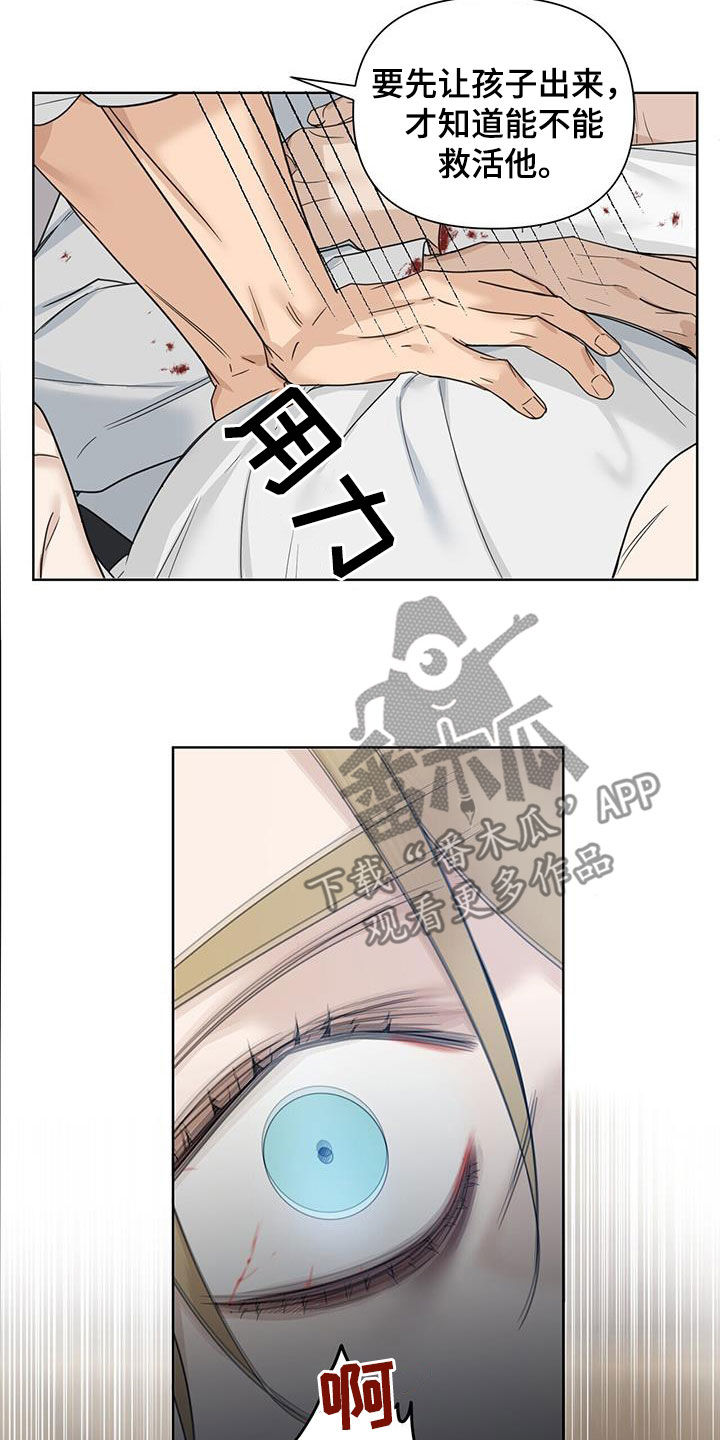 第48章：双胞胎14