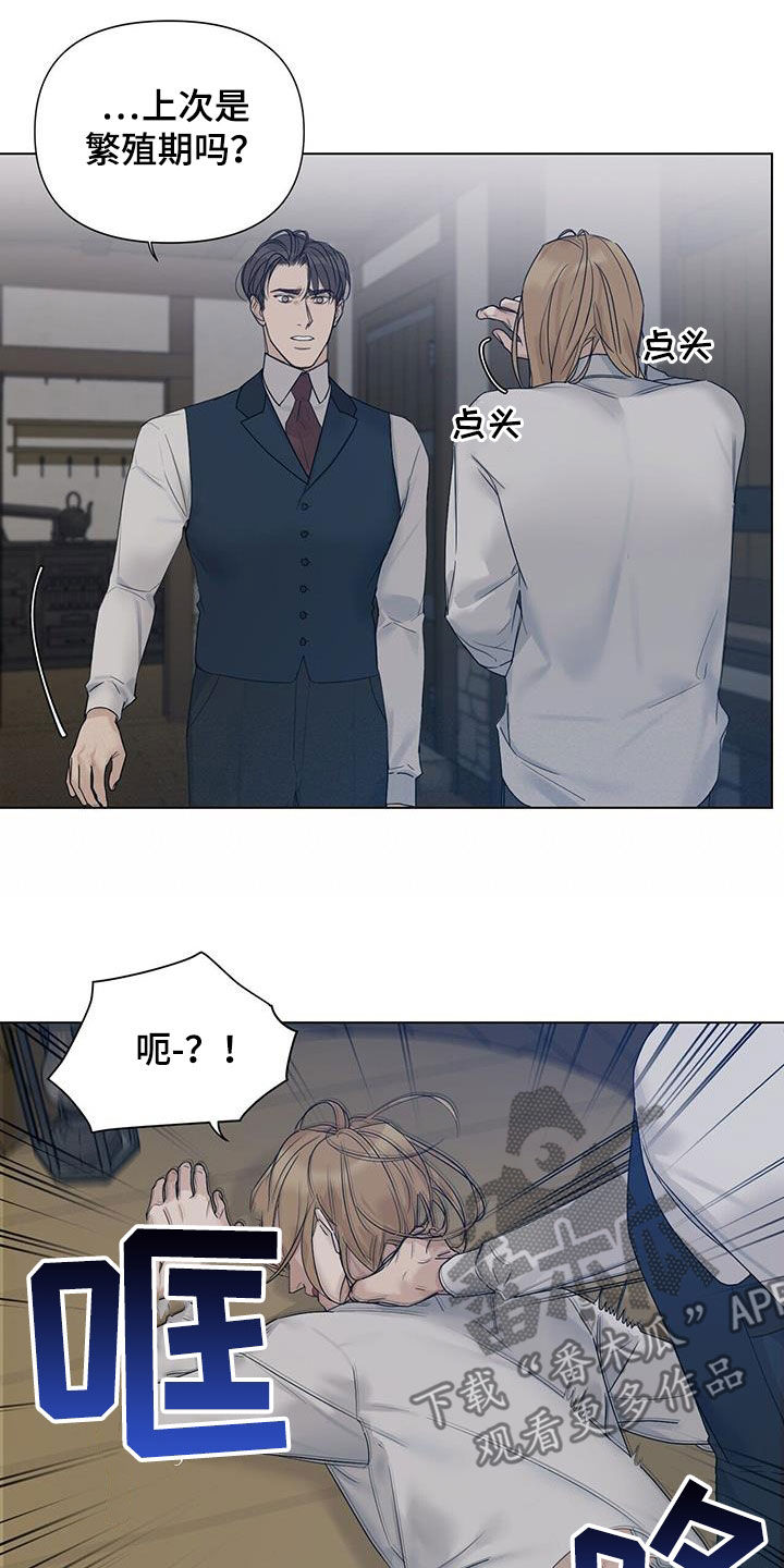 第21章：怀孕19
