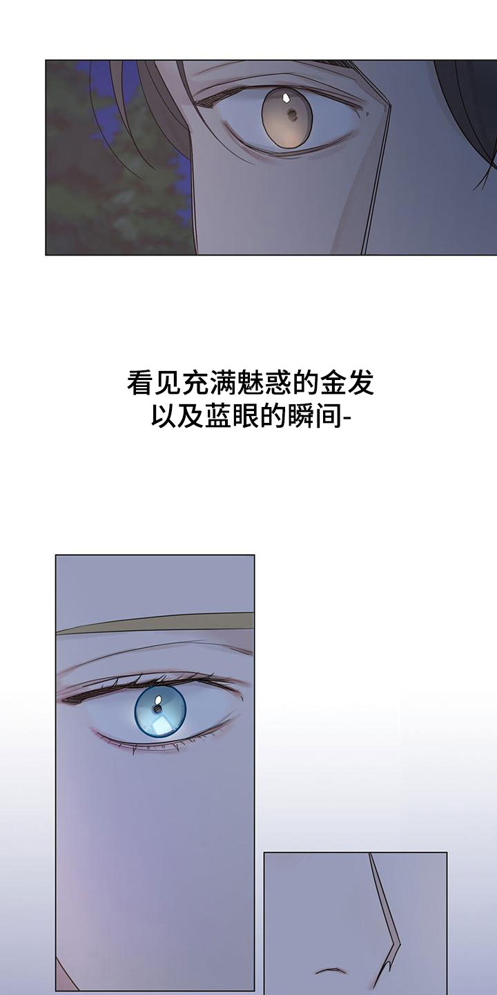 第17章：压制10