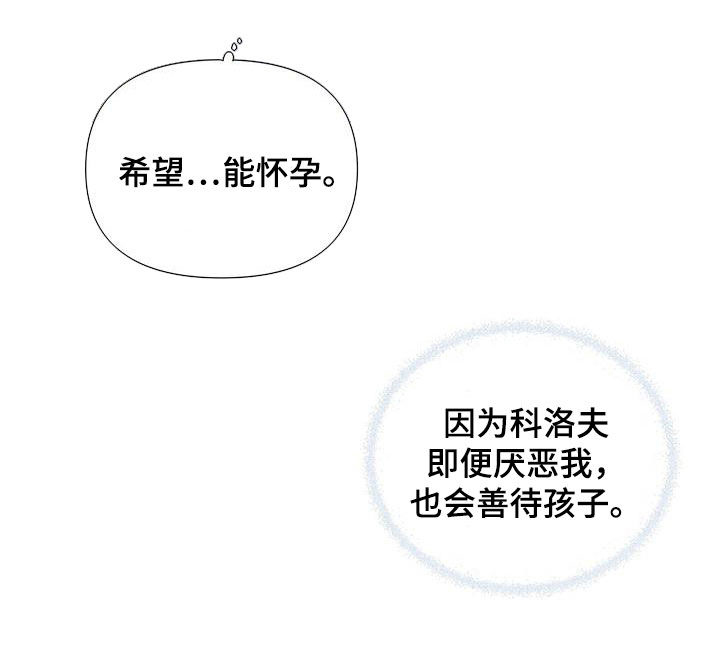 第21章：怀孕17