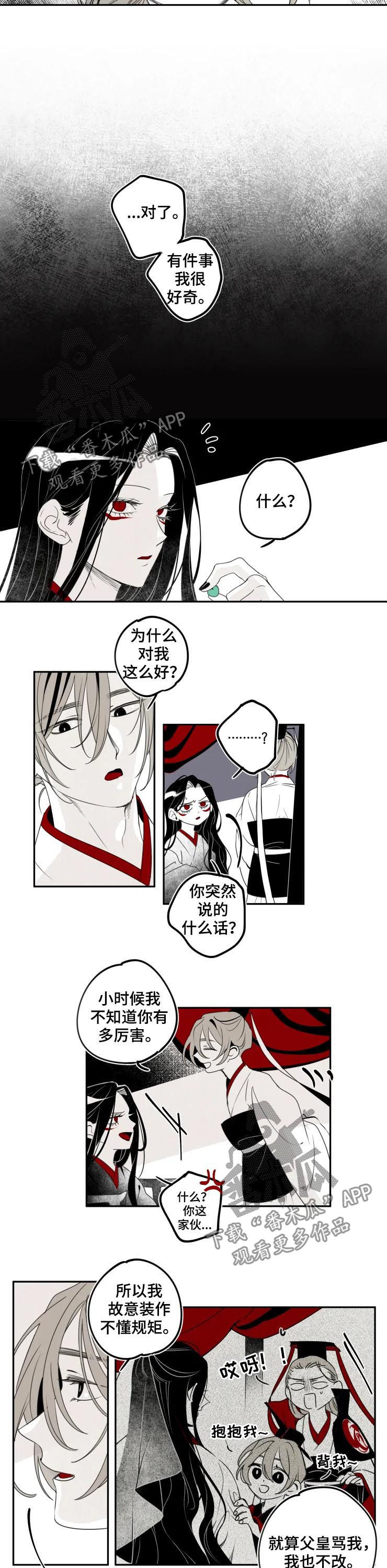 第41章：特别5